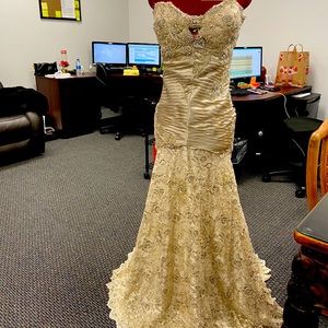Terani Custom made gown